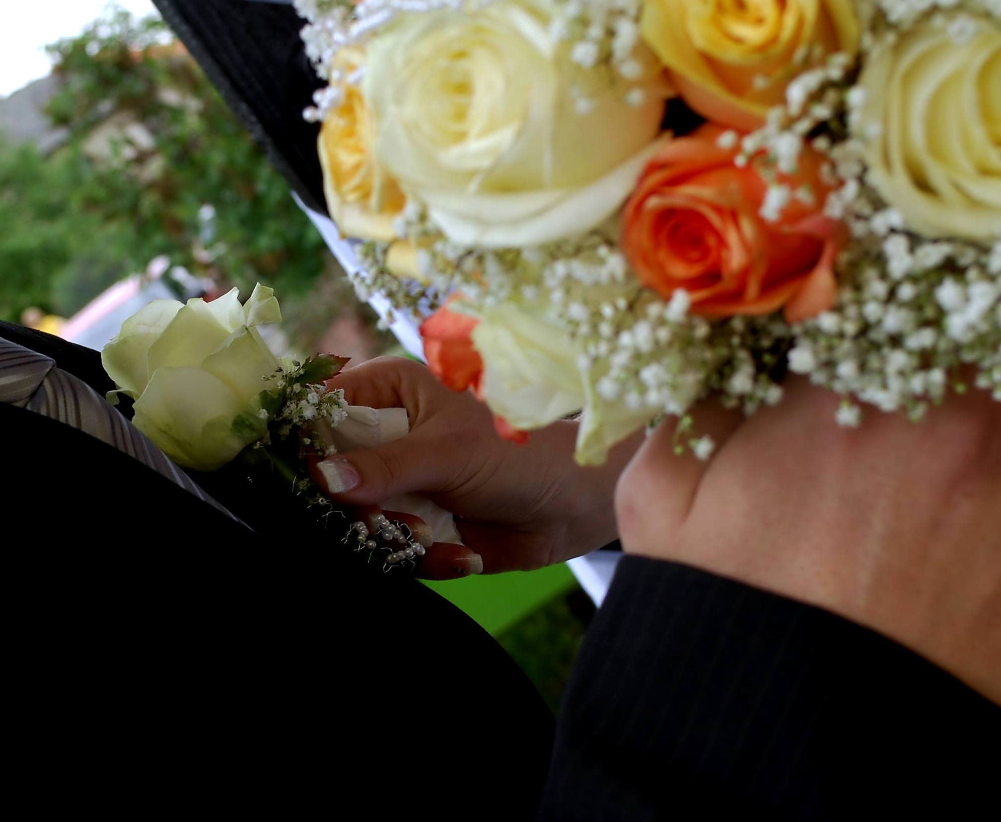 detail.jpg